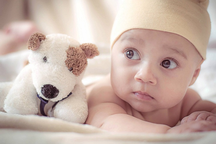 Adorable baby with toy dog