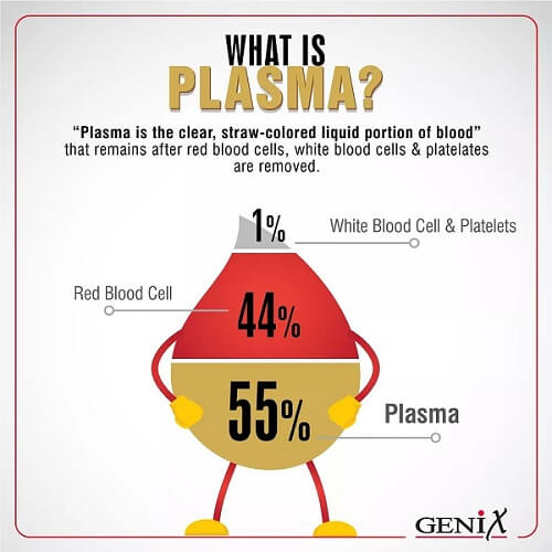 What is Plasma infographic by Genix