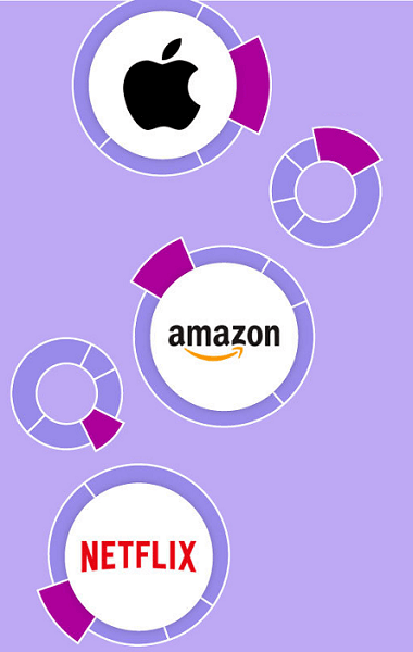 Fractional share illustration