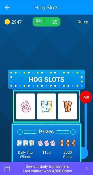 Receipt Hog: Hog Slots