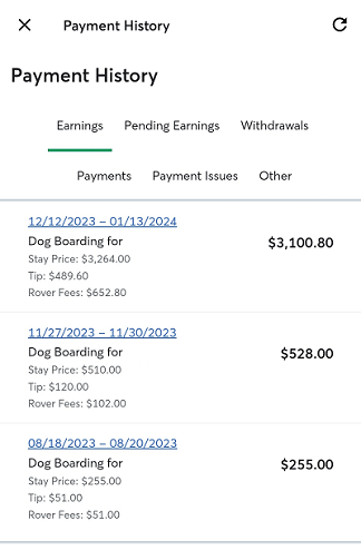 Rover Earnings Summary